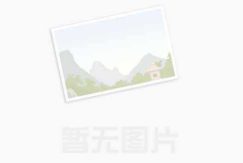 攀枝花福特拆车件